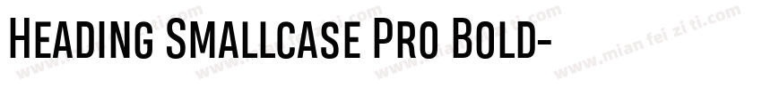 Heading Smallcase Pro Bold字体转换
